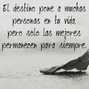 Meet your Posher, Gianni